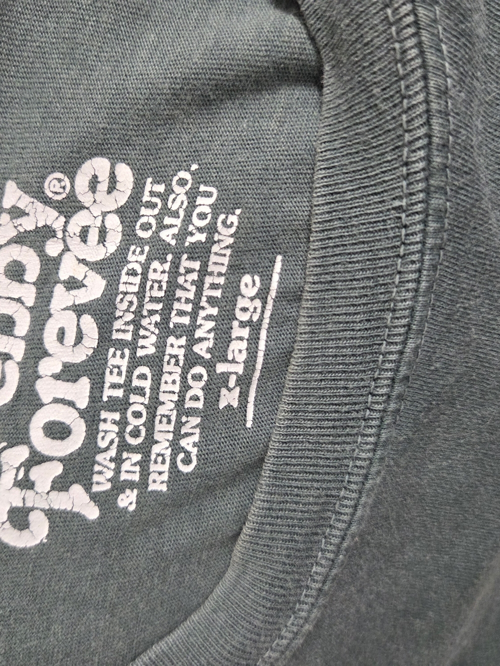 Pebby Forevee '76 Graphic Tee - Slate Green - Picture 3 of 3